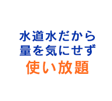 水道水だから量を気にせず使い放題 
